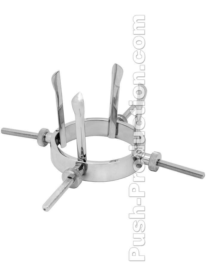 The Hole - Ring Speculum Anal Stretcher