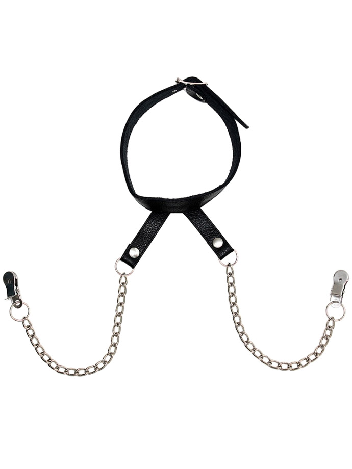 Nipple Clamps with Chain and Collar